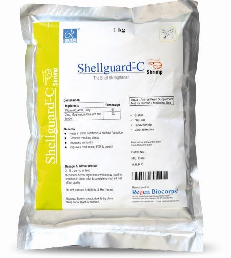 shellguard-c-shrimp