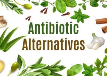 Herbs-01-01 Herbs-01-01