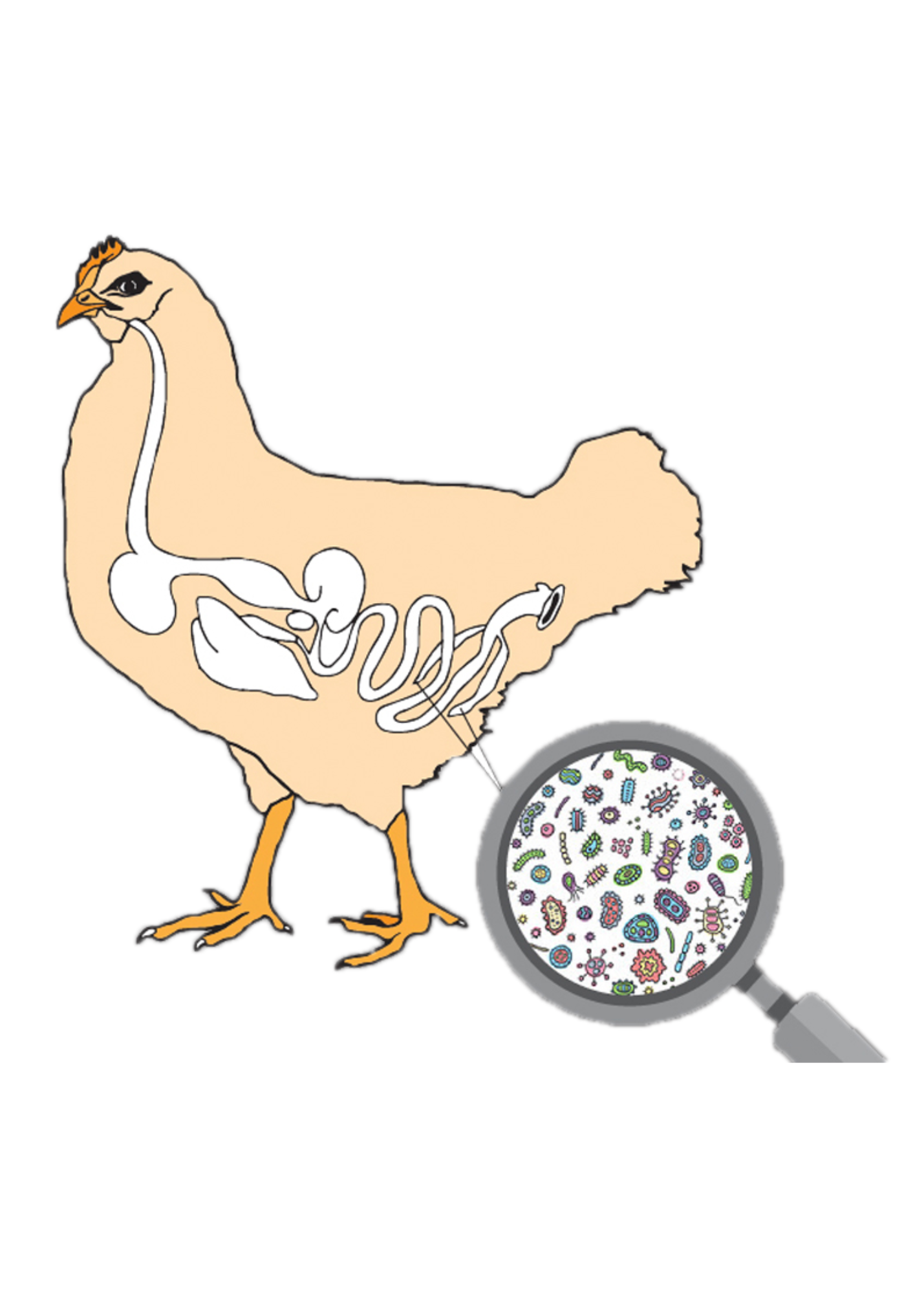Chicken-Respiratory-Disease