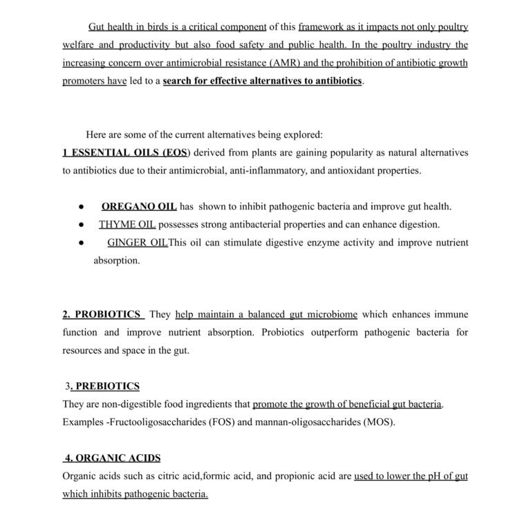 Parth Gaikwad-Essay4