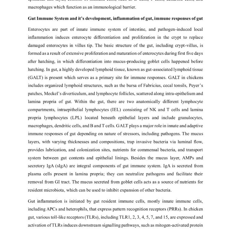 Surendranath Reddy-Essay2